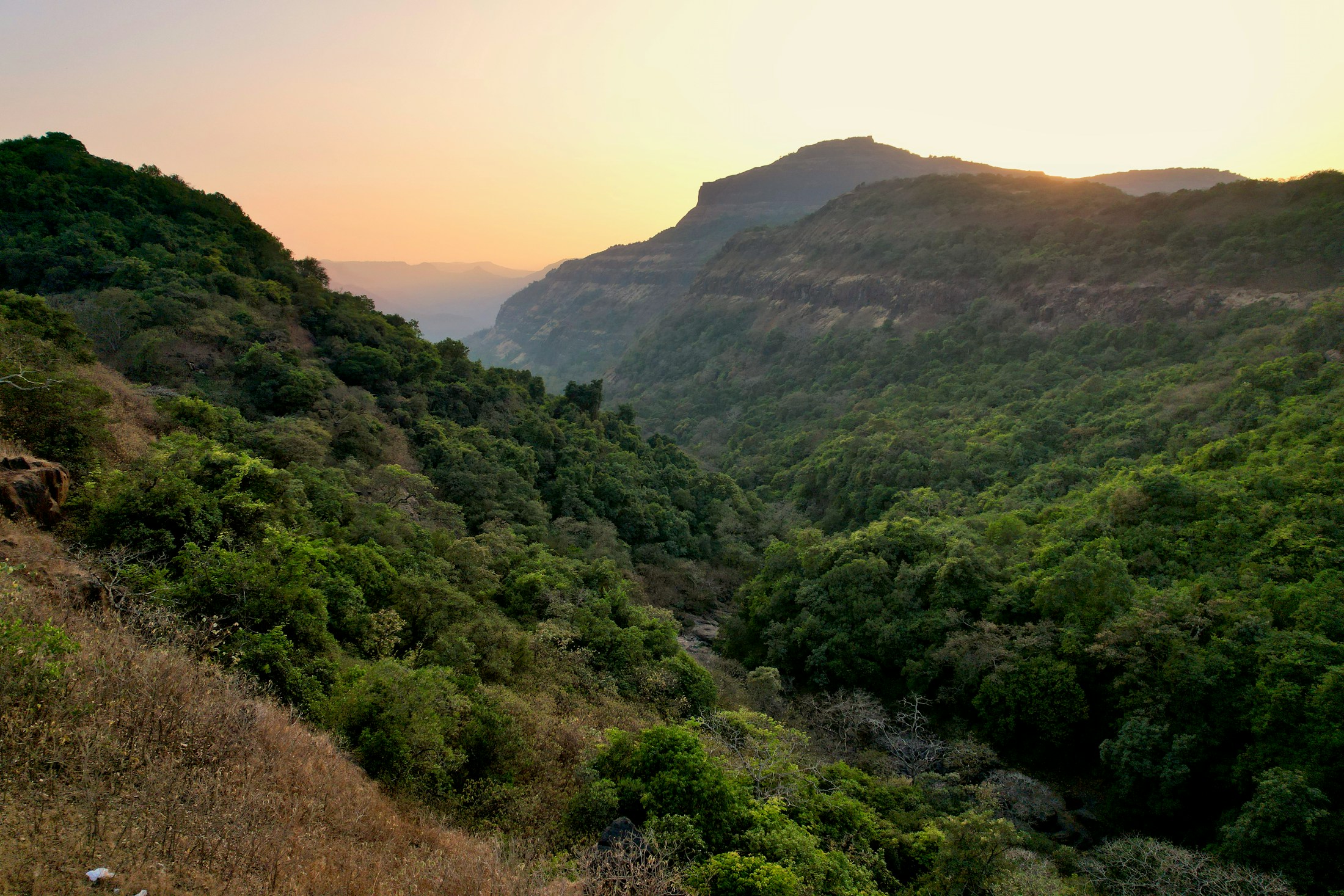 Maharashtra